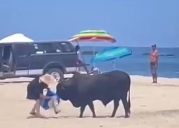 Μεξικό: Ταύρος επιτέθηκε σε γυναίκα – Της φώναζαν να μην πλησιάσει το ζώο