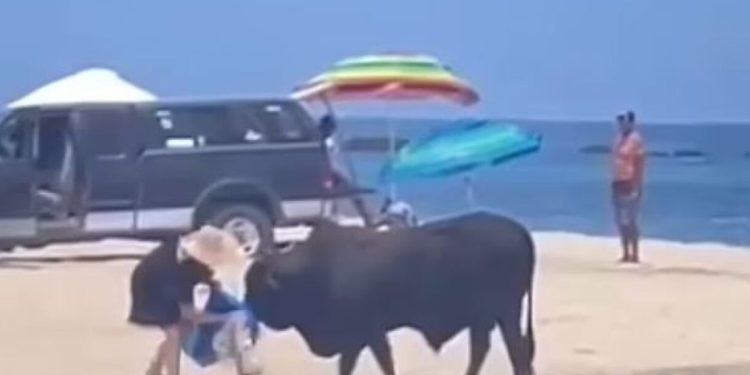 Μεξικό: Ταύρος επιτέθηκε σε γυναίκα – Της φώναζαν να μην πλησιάσει το ζώο