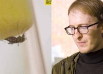 Ο «άνθρωπος των κουνουπιών»