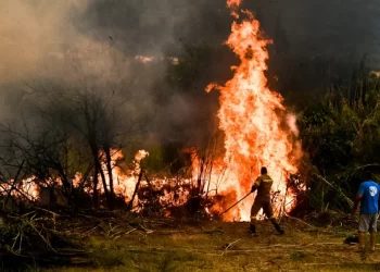 Ζάκυνθος: Φωτιά στην Αγία Μαρίνα