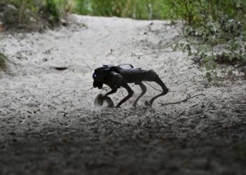Ουκρανία: Σκύλοι – ρομπότ αναλαμβάνουν «επικίνδυνες αποστολές»