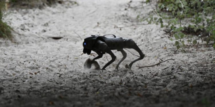 Ουκρανία: Σκύλοι – ρομπότ αναλαμβάνουν «επικίνδυνες αποστολές»