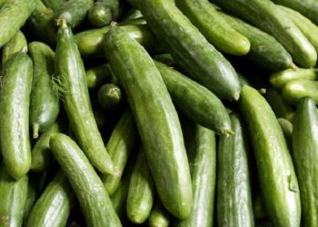 Πώς ένας food blogger έκανε … είδος προς εξαφάνιση τα αγγούρια