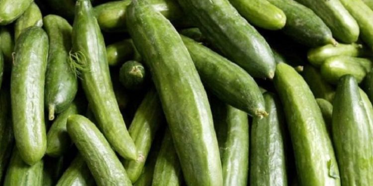 Πώς ένας food blogger έκανε … είδος προς εξαφάνιση τα αγγούρια