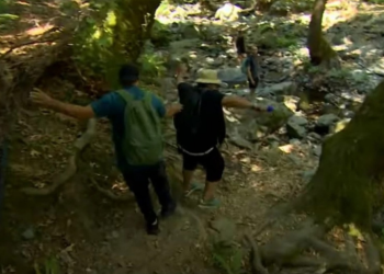 Το σoκαριστικό ατύxημα του Γρηγόρη Αρναούτογλου στο «The road show»