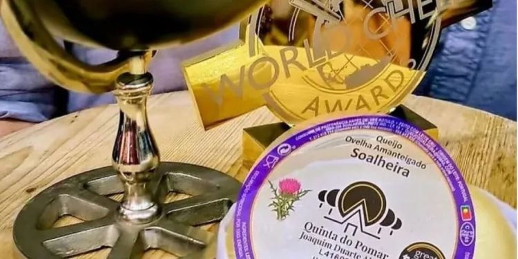 Με πρόβειο γάλα και πυτιά από γαϊδουράγκαθο το νοστιμότερο τυρί στον κόσμο