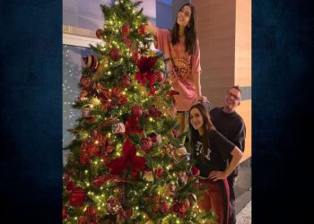 Η ανάρτησή της Δέσποινας Βανδής με το χριστουγεννιάτικο δέντρο της