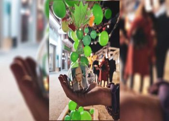 Κρήτη: Στόλισαν δέντρο με θέμα το… παλιό ΠΑΣΟΚ