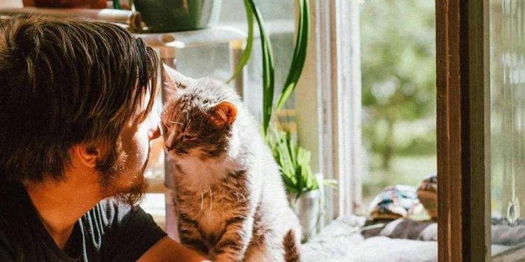 Γυναίκα μήνυσε τον σύζυγο της επειδή….νοιαζόταν περισσότερο για τη γάτα τους