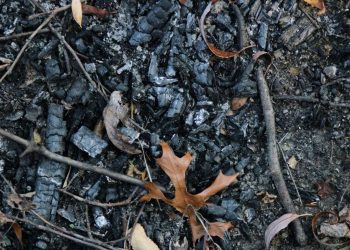 Τι σημαίνει η φράση «στάχτη και μπούλμπερη»