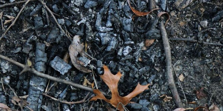 Τι σημαίνει η φράση «στάχτη και μπούλμπερη»