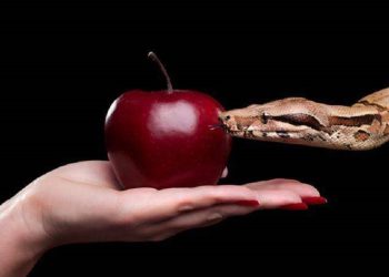 Άπιστος δήμαρχος της Δυτικής Ελλάδας σε τροχαίο σκάνδαλο – Ο πόλεμος με τη σύζυγο και η απειλή για τα παιδιά