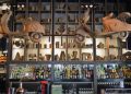 Cartone Gazi-All Day Bar Restaurant – Η πιο στιλάτη απόδραση στο Γκάζι!