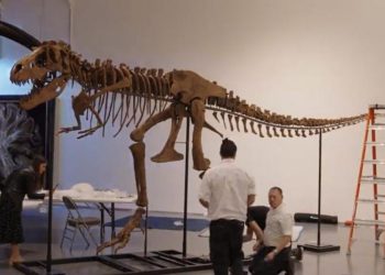 Ανακαλύφθηκε Νέο Γιγάντιο Είδος Δεινοσαύρου στην Κίνα – Μια Επαναστατική Ανακάλυψη στην Παλαιοντολογία