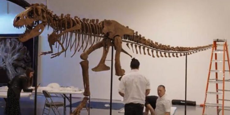 Ανακαλύφθηκε Νέο Γιγάντιο Είδος Δεινοσαύρου στην Κίνα – Μια Επαναστατική Ανακάλυψη στην Παλαιοντολογία