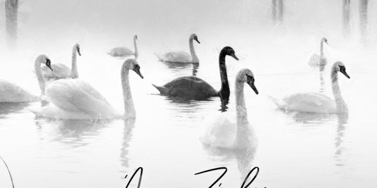 ΑΚΟΥΣΤΕ | Νέο Single | Άρης Ζέρβας – Σε ξεχώρισα